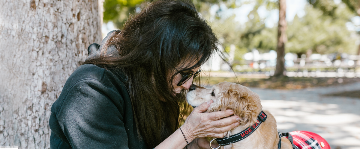 Prendre soin de son chien âgé : 6 conseils pour l'aider à bien vieillir