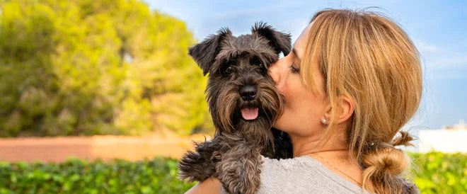 Les bienfaits de la moule verte pour votre chien en 7 questions – Hello  Jack GmbH