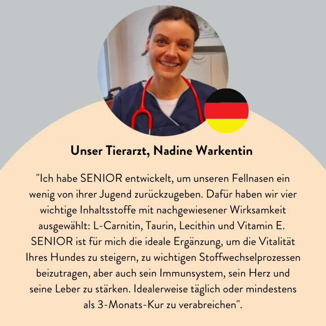 SENIOR - Vitalität