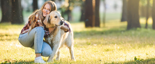 Les problèmes de peau chez les chiens